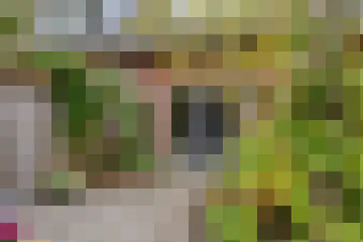 Espenhof 3 Rosmalen thumbnail 20