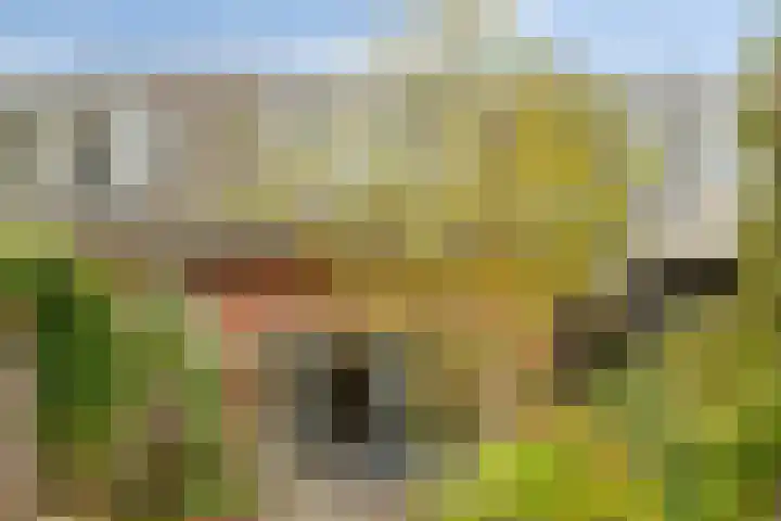 Espenhof 3 Rosmalen thumbnail 22