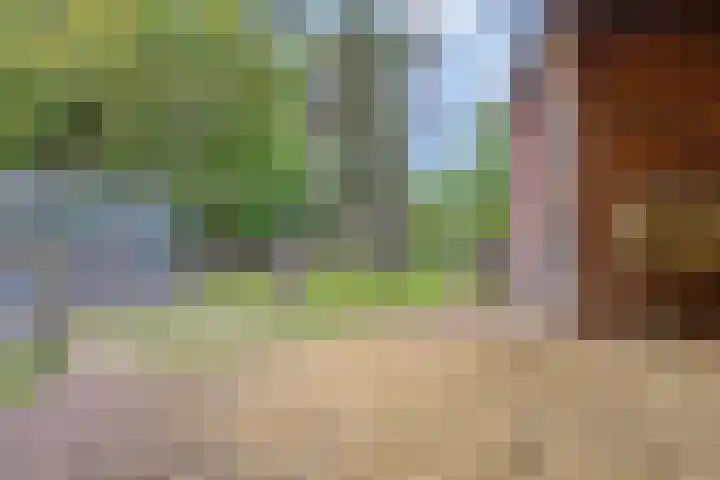 Espenhof 3 Rosmalen thumbnail 25