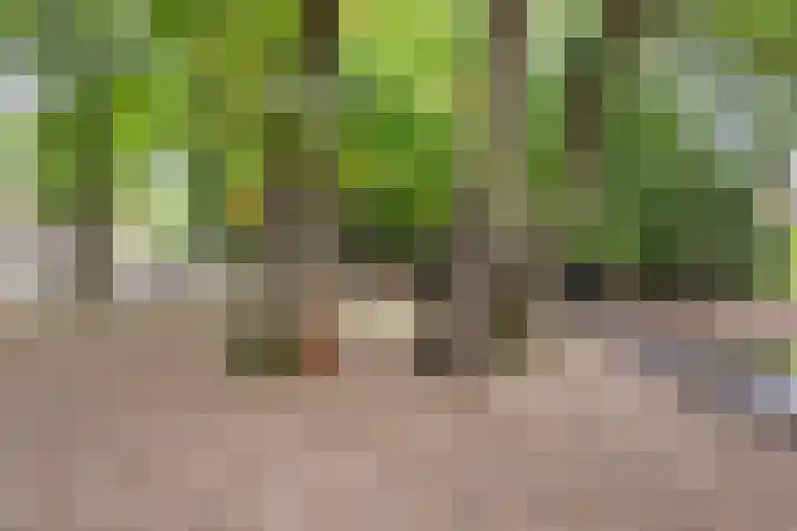Espenhof 3 Rosmalen thumbnail 26