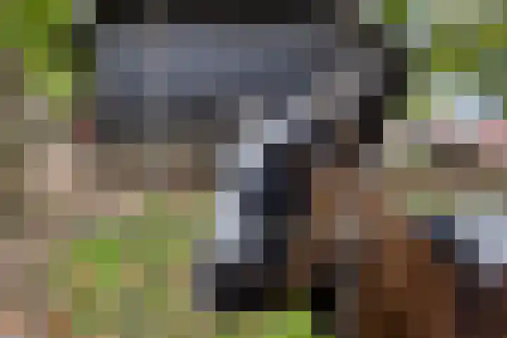 Espenhof 3 Rosmalen thumbnail 27
