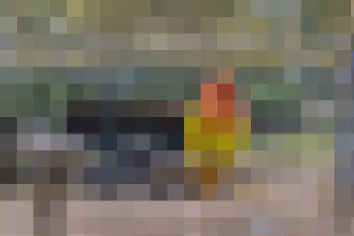 Espenhof 3 Rosmalen thumbnail 28