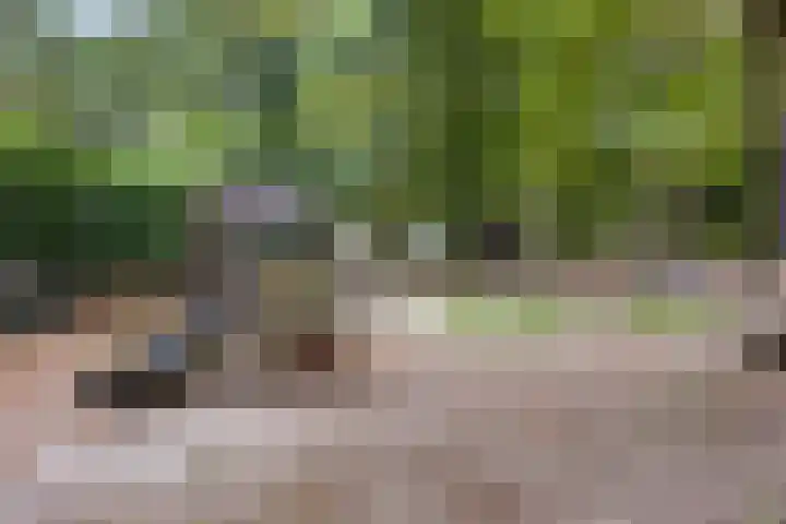 Espenhof 3 Rosmalen thumbnail 29