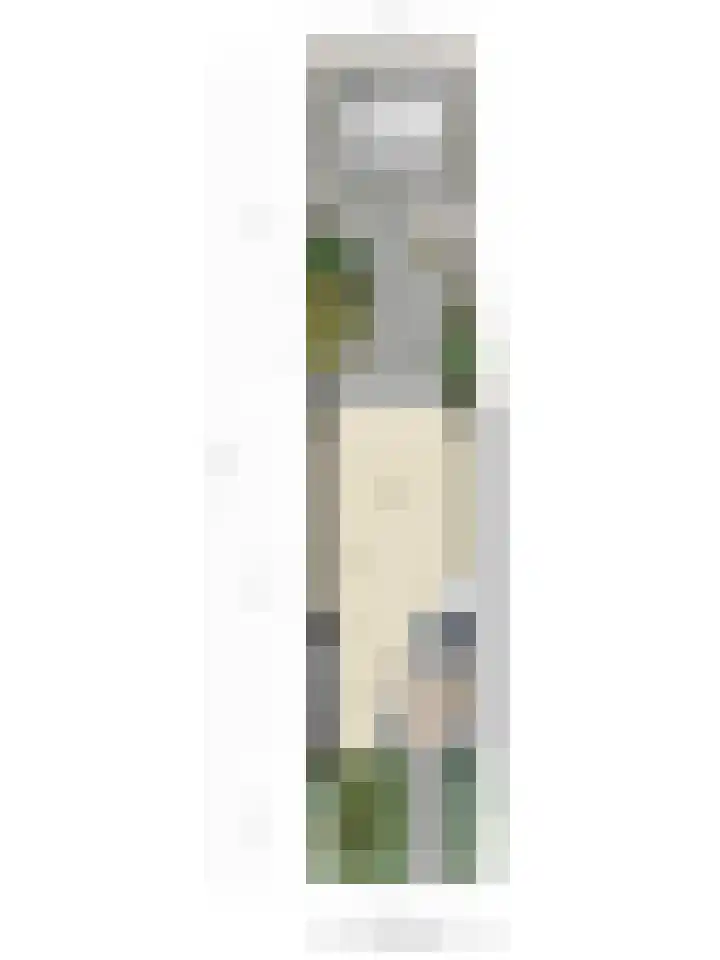 Espenhof 3 Rosmalen thumbnail 33