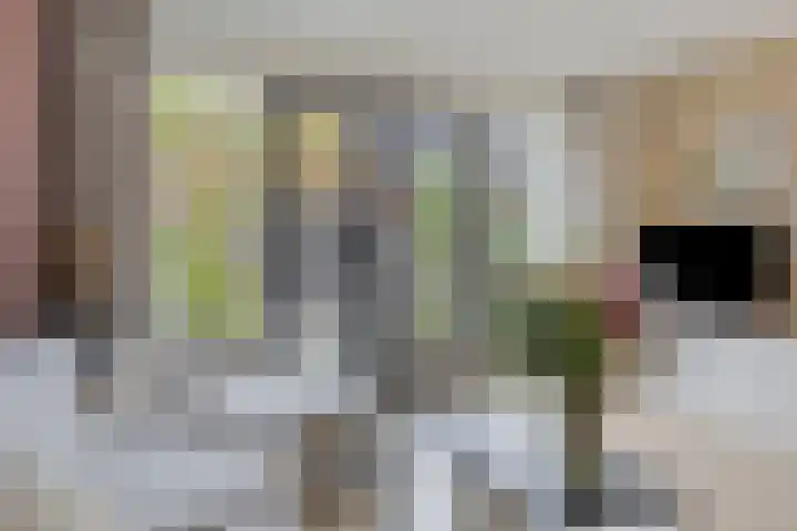 Espenhof 3 Rosmalen thumbnail 4