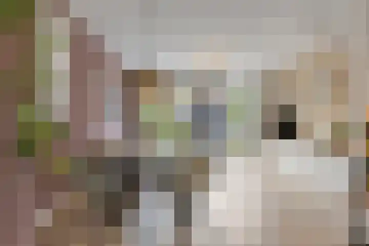 Espenhof 3 Rosmalen thumbnail 7