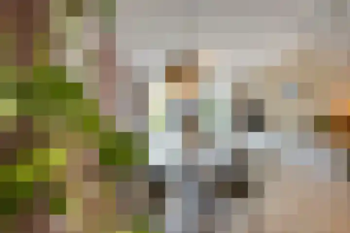 Espenhof 3 Rosmalen thumbnail 8