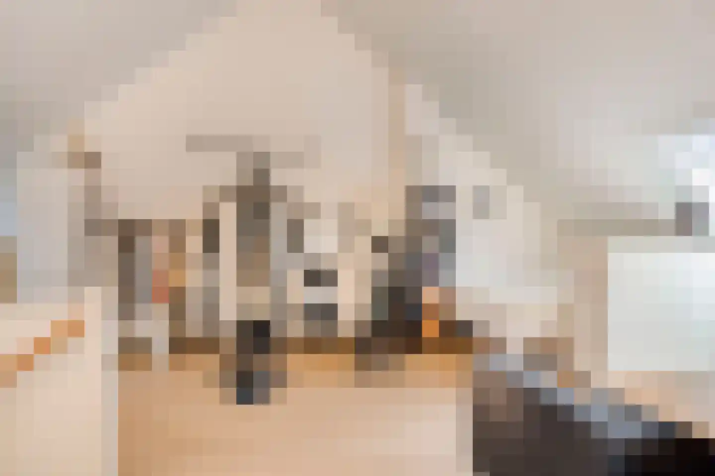 Espenhof 51 Rosmalen thumbnail 35
