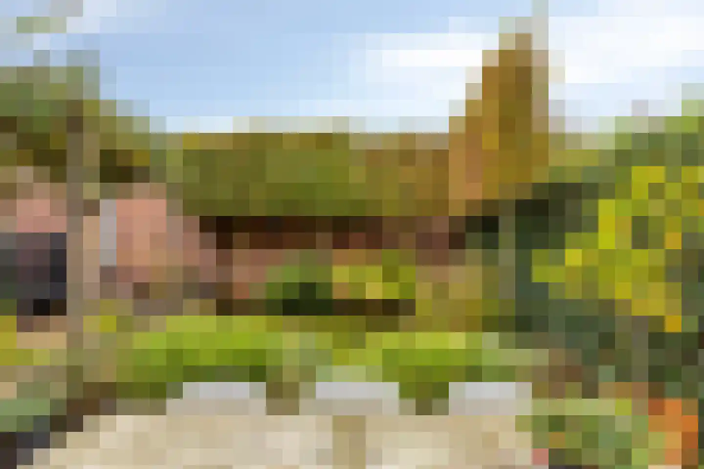 Espenhof 51 Rosmalen thumbnail 39