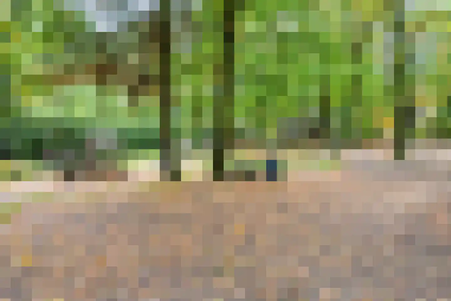 Espenhof 51 Rosmalen thumbnail 44