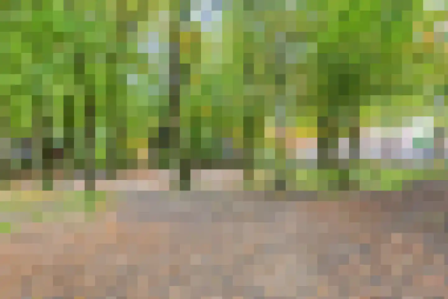 Espenhof 51 Rosmalen thumbnail 45