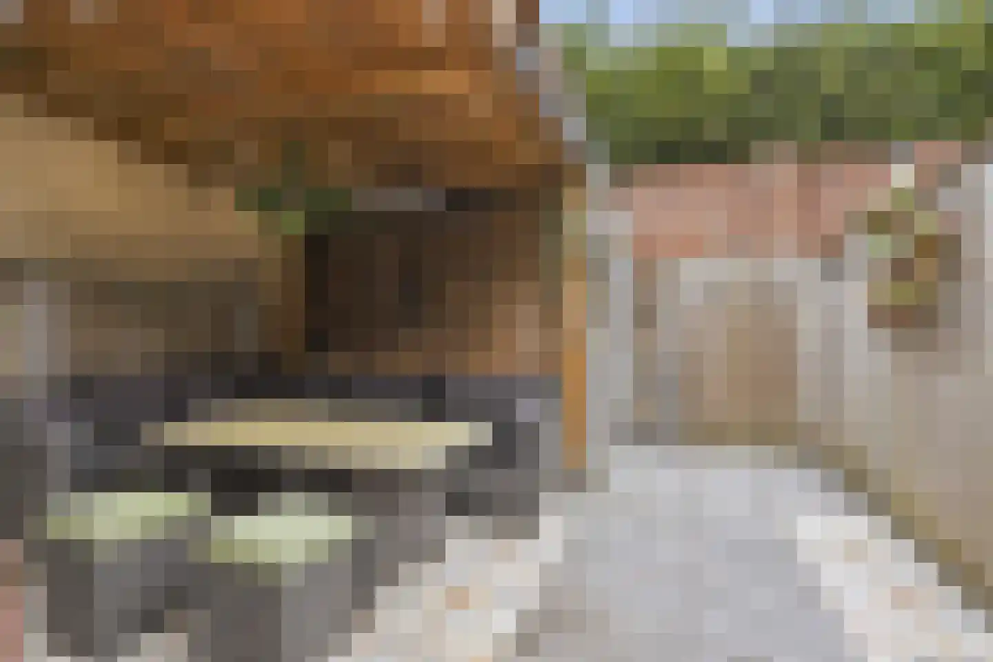 Espenhof 9 Rosmalen thumbnail 21