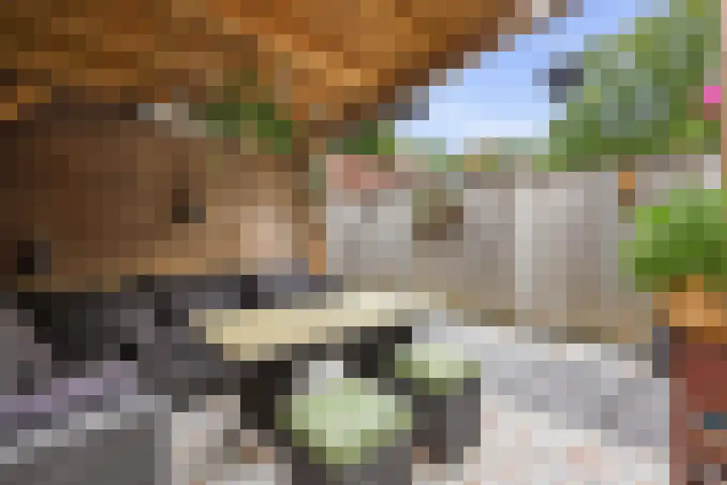Espenhof 9 Rosmalen thumbnail 23