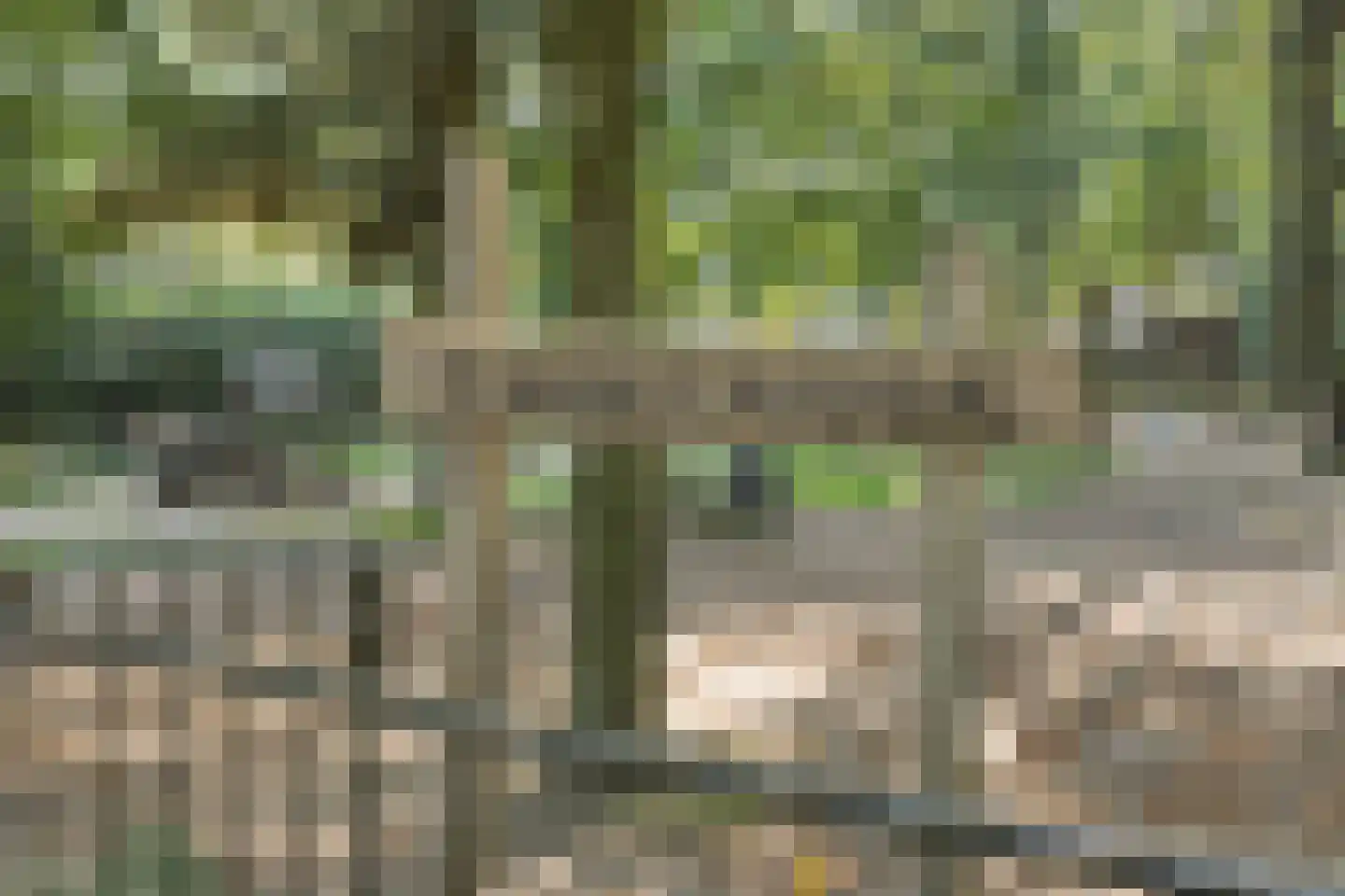 Espenhof 9 Rosmalen thumbnail 28