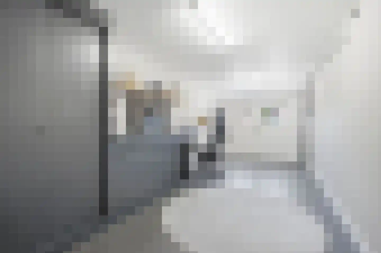 Espenstraat 2 Langenboom thumbnail 13