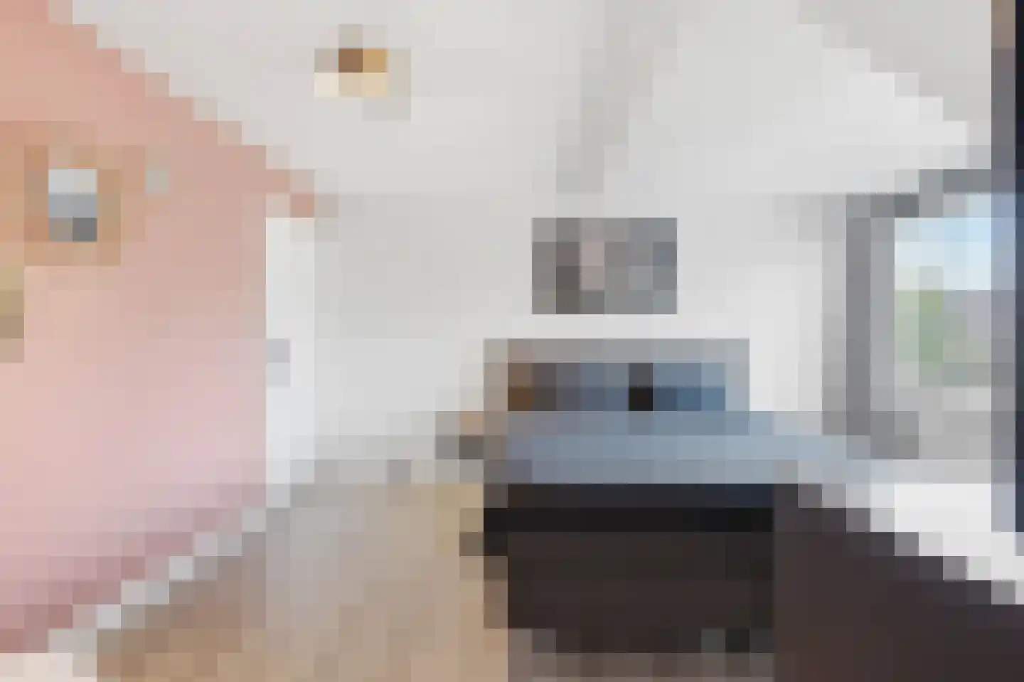 Espenstraat 2 Langenboom thumbnail 18