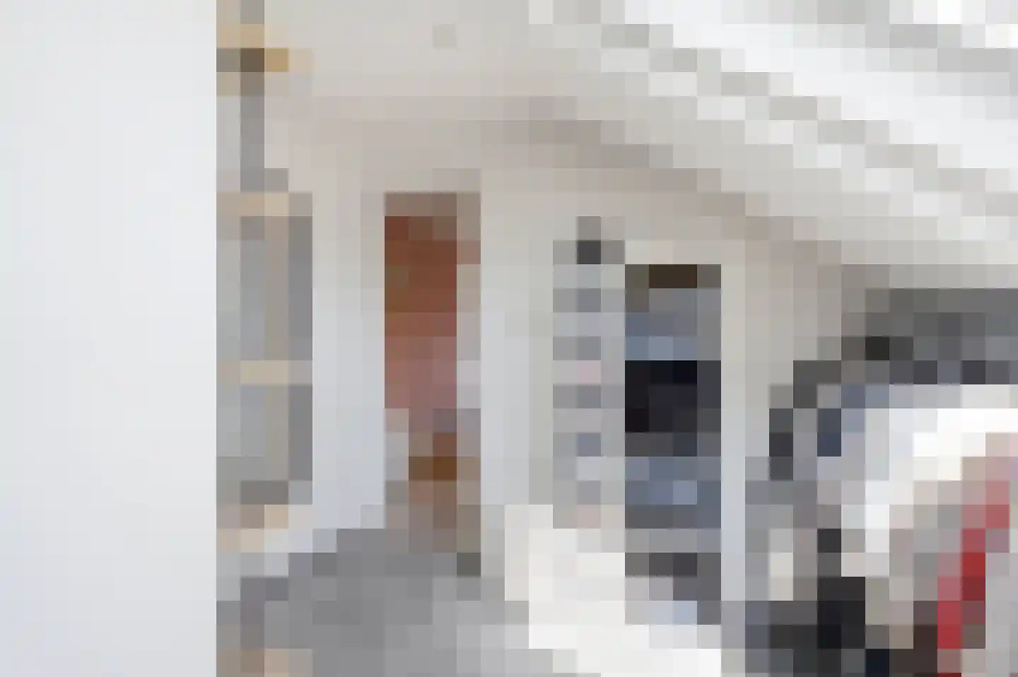 Espenstraat 2 Langenboom thumbnail 20