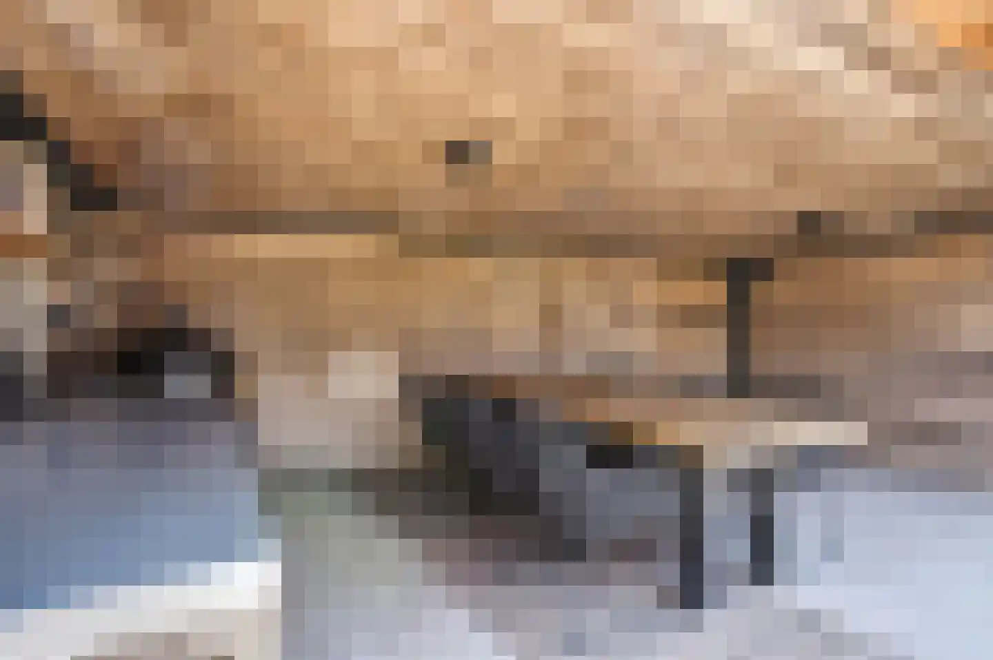Espenstraat 2 Langenboom thumbnail 36