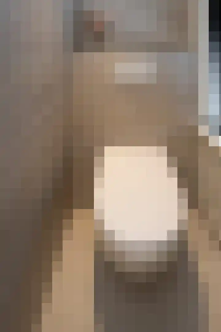 Esperantostraat 10 Rheden thumbnail 17