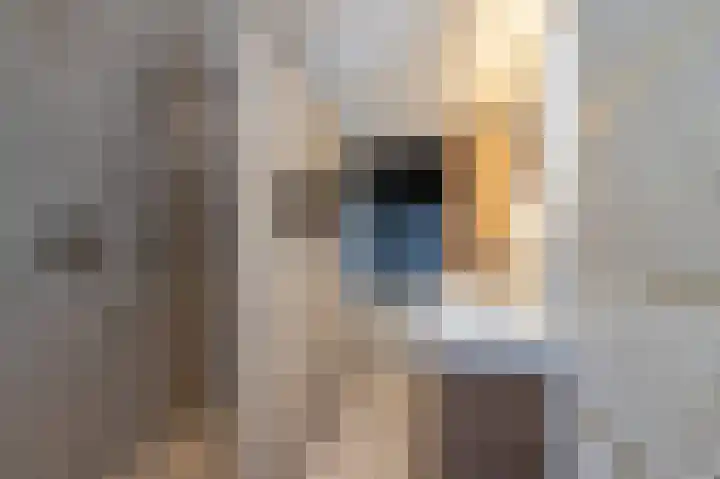 Esperantostraat 10 Rheden thumbnail 4