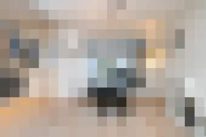 Esperantostraat 10 Rheden thumbnail 6