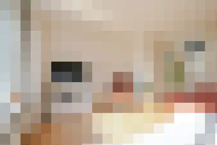Esperantostraat 5 Rheden thumbnail 4