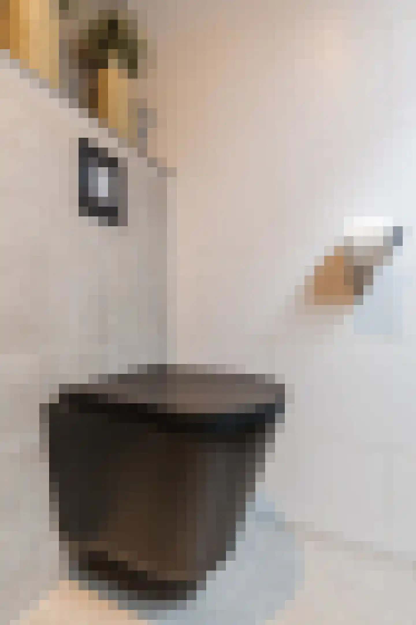 Esperenkamp 24 Eindhoven thumbnail 26