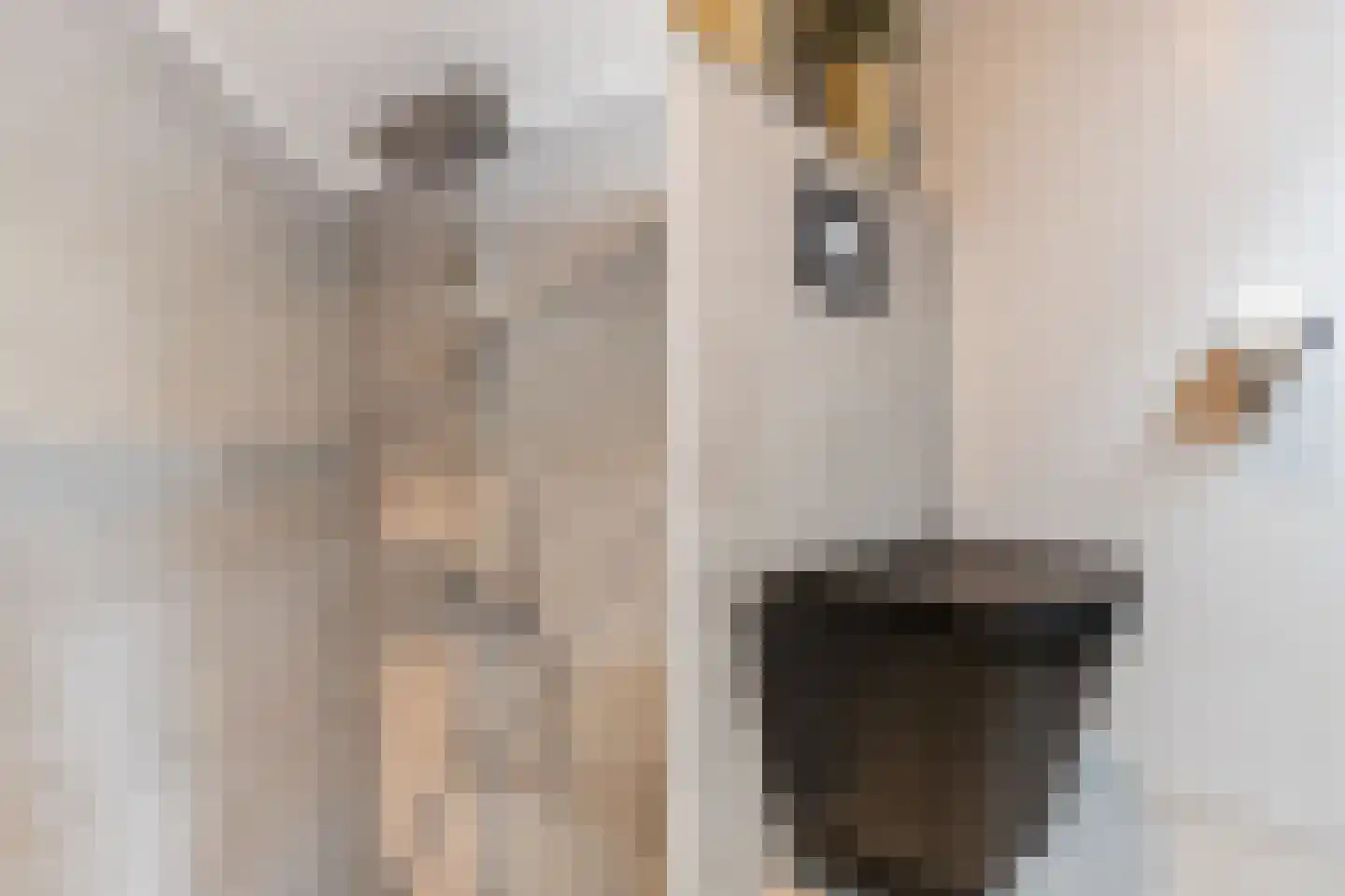Esperenkamp 24 Eindhoven thumbnail 27
