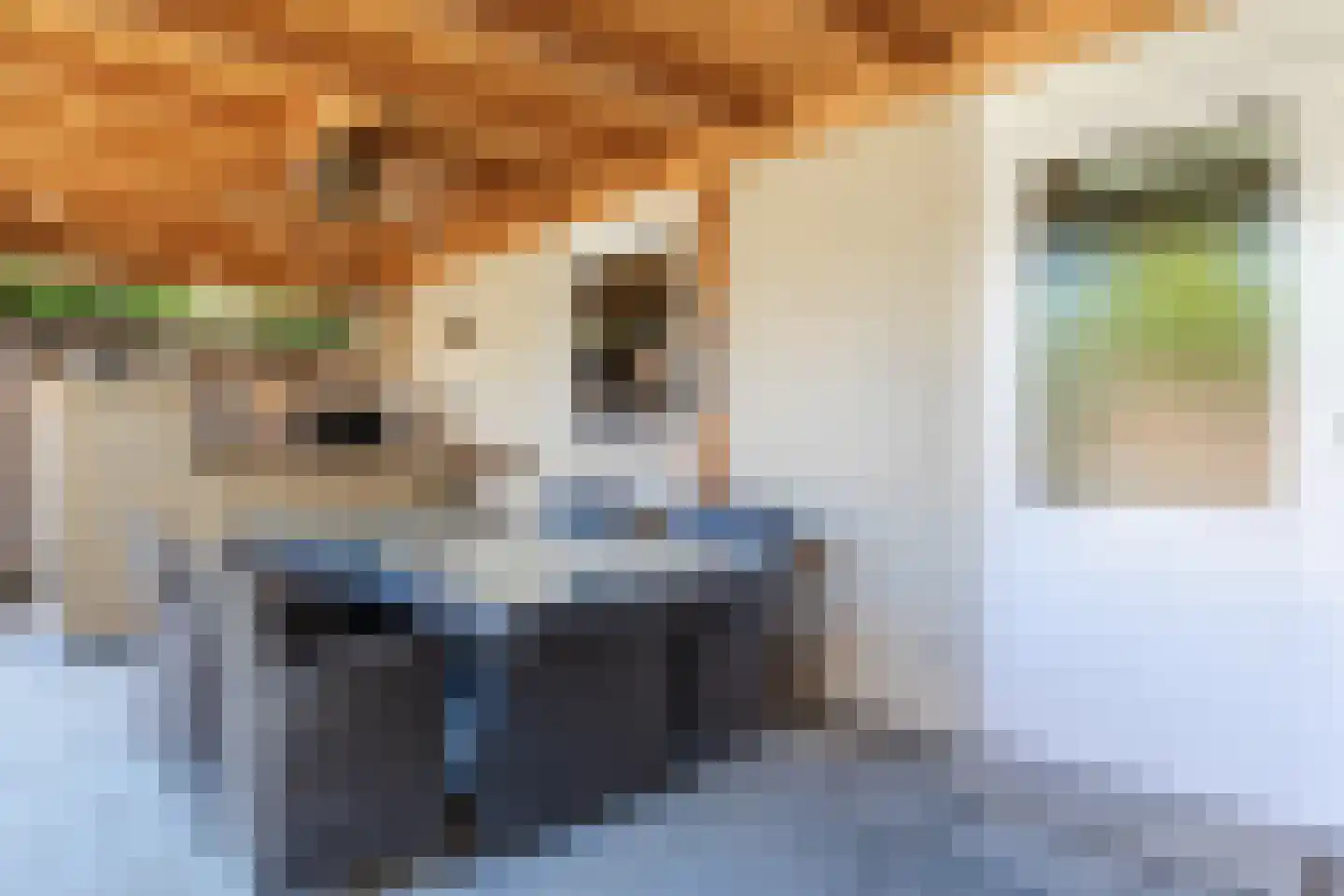 Esperenkamp 24 Eindhoven thumbnail 39