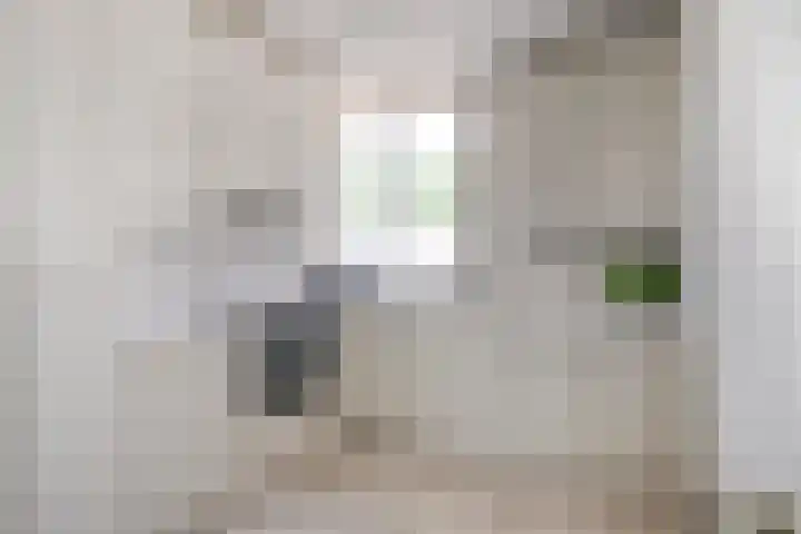 Esperenkamp 26 Eindhoven thumbnail 10