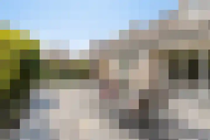 Esperenkamp 26 Eindhoven thumbnail 28