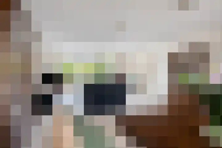Esperenkamp 26 Eindhoven thumbnail 8