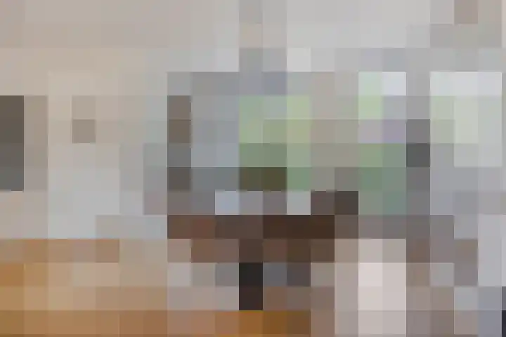 Esperenkamp 32 Eindhoven thumbnail 11