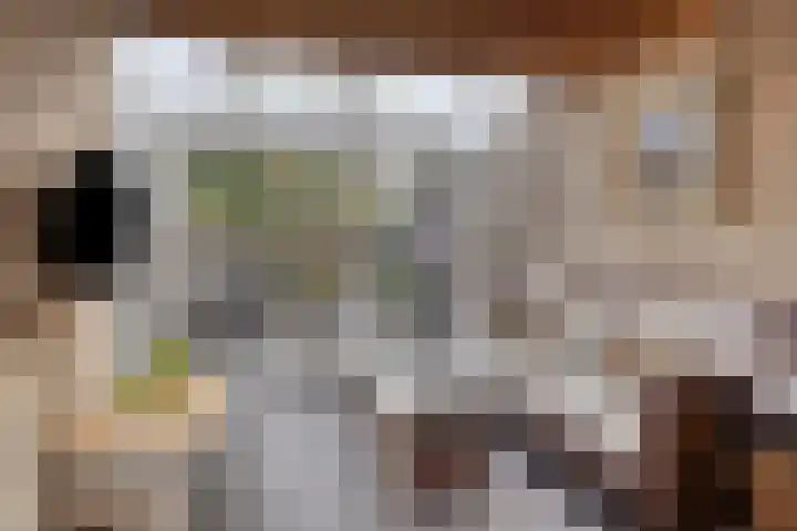 Esperenkamp 32 Eindhoven thumbnail 16