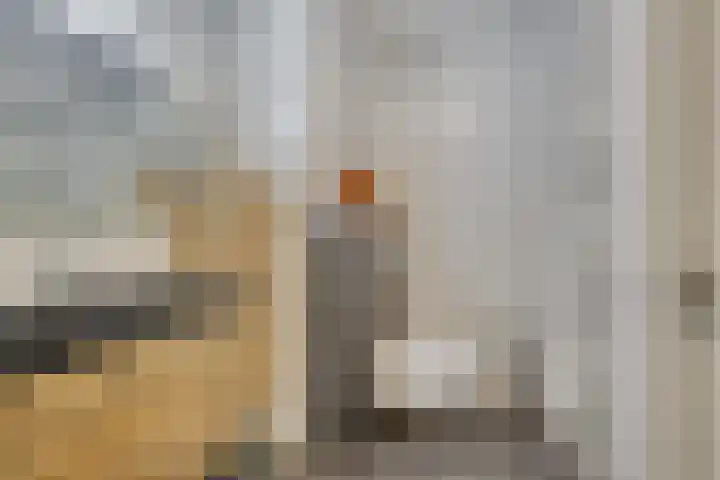 Esperenkamp 32 Eindhoven thumbnail 20