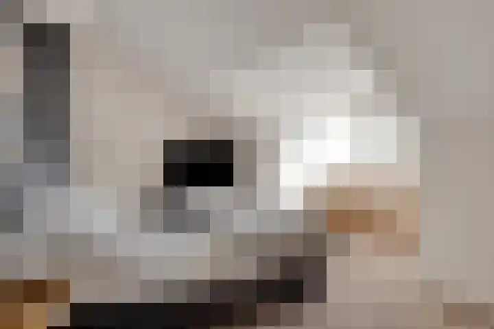 Esperenkamp 32 Eindhoven thumbnail 22