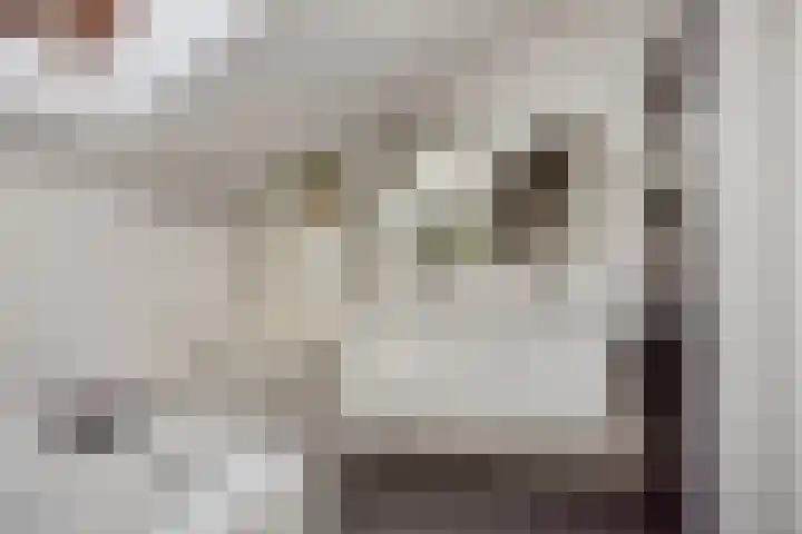 Esperenkamp 32 Eindhoven thumbnail 24