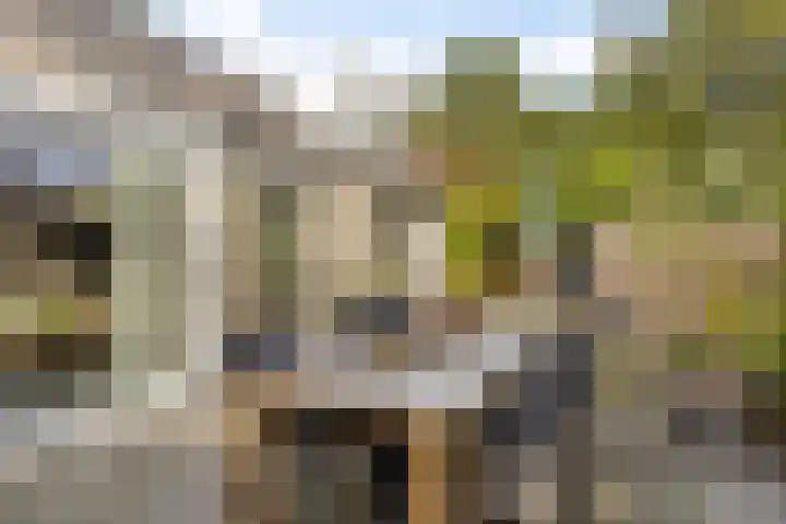Esperenkamp 32 Eindhoven thumbnail 28