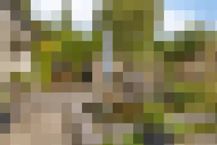 Esperenkamp 32 Eindhoven thumbnail 29