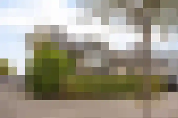 Esperenkamp 32 Eindhoven thumbnail 4
