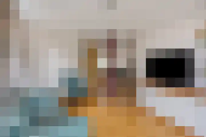 Esperenkamp 37 Eindhoven thumbnail 15