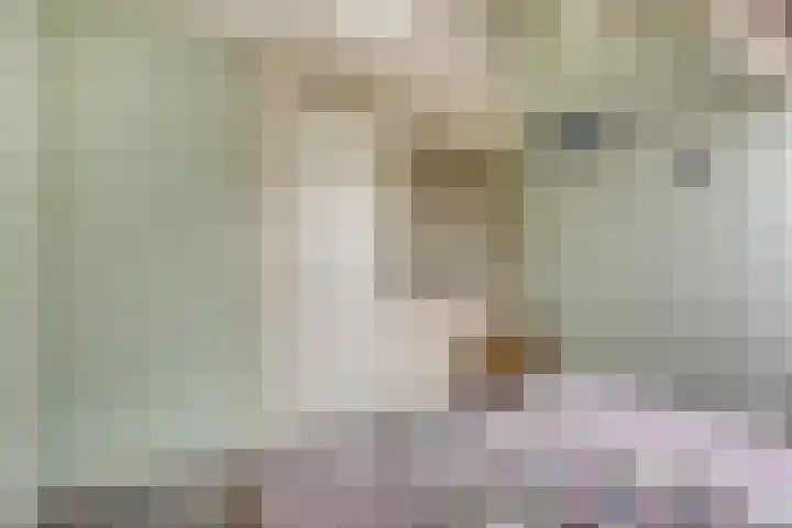 Esperenkamp 37 Eindhoven thumbnail 39