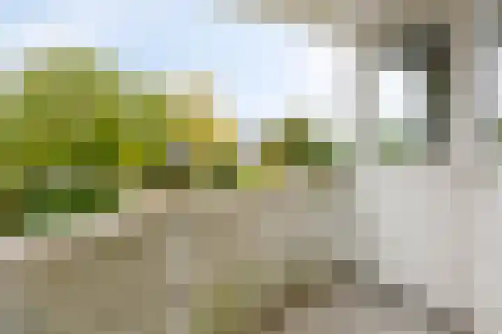 Esperenkamp 37 Eindhoven thumbnail 42