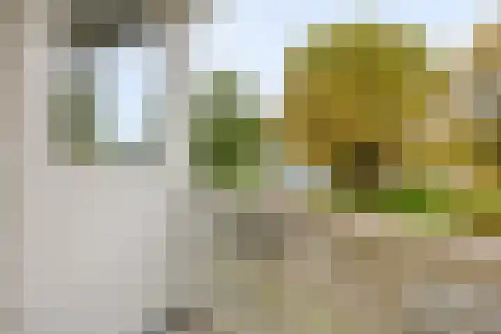 Esperenkamp 37 Eindhoven thumbnail 43
