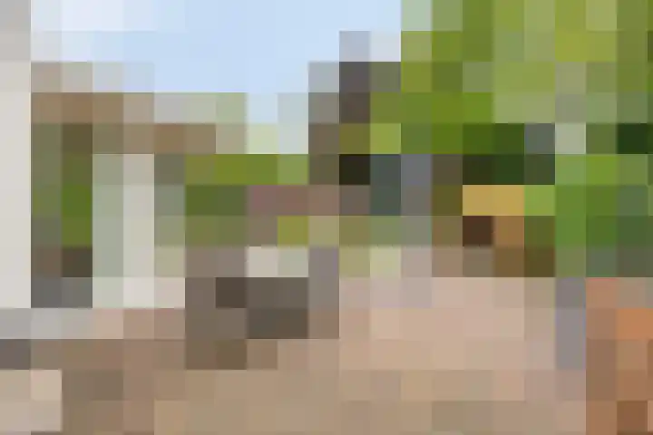Esperenkamp 37 Eindhoven thumbnail 48