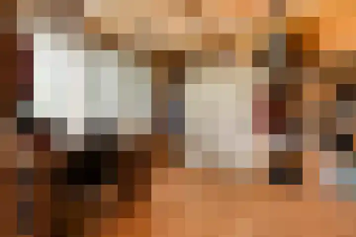 Esperenkamp 37 Eindhoven thumbnail 52