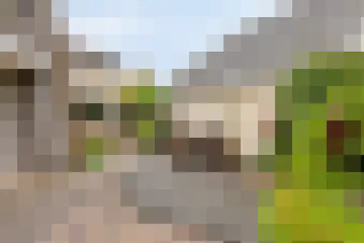 Esperenkamp 37 Eindhoven thumbnail 55