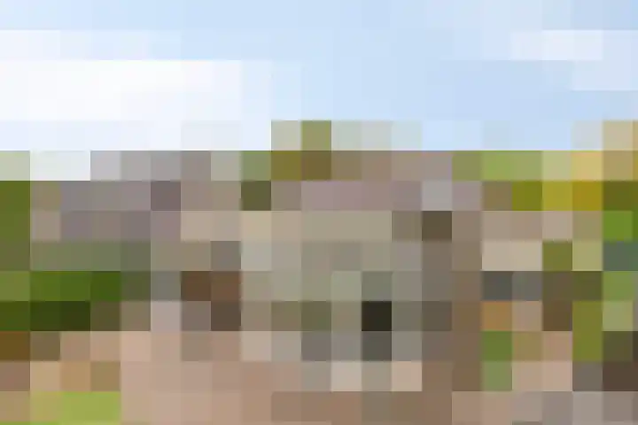 Esperenkamp 37 Eindhoven thumbnail 58