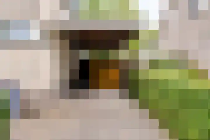 Esperenkamp 37 Eindhoven thumbnail 61