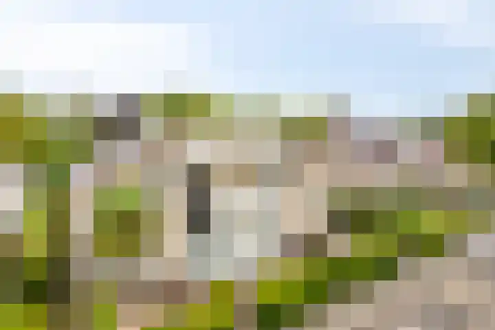 Esperenkamp 37 Eindhoven thumbnail 67